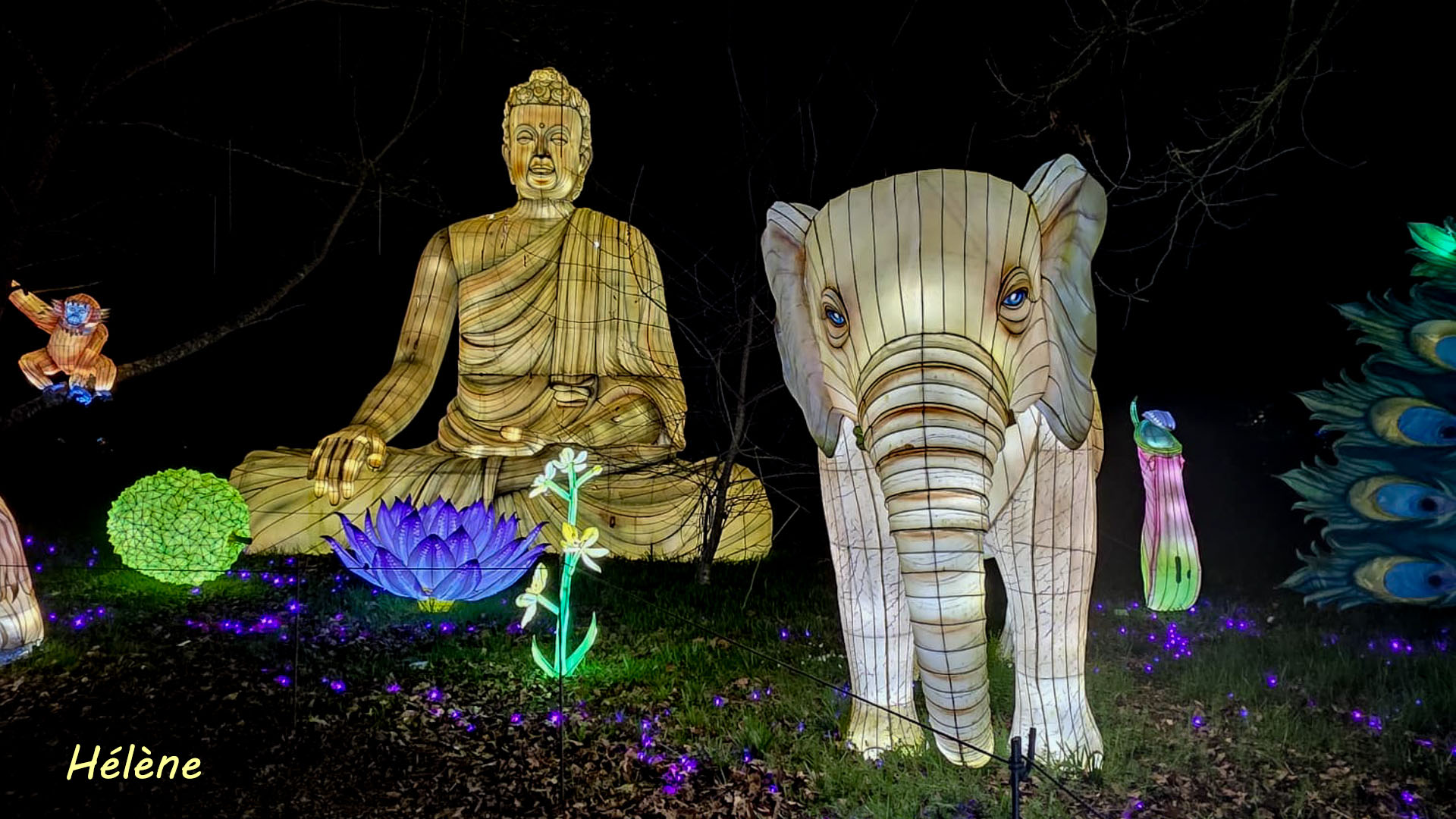 THOIRY -Illumination ,  Lumières sauvages 2025-2026